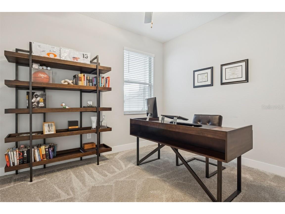 9783 Wild Begonia Loop Land O Lakes FL 34637 TB8459059 image17