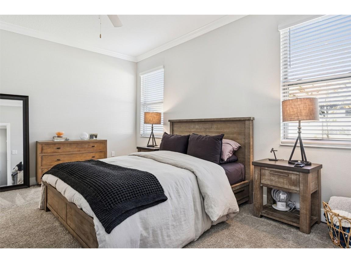 9783 Wild Begonia Loop Land O Lakes FL 34637 TB8459059 image18