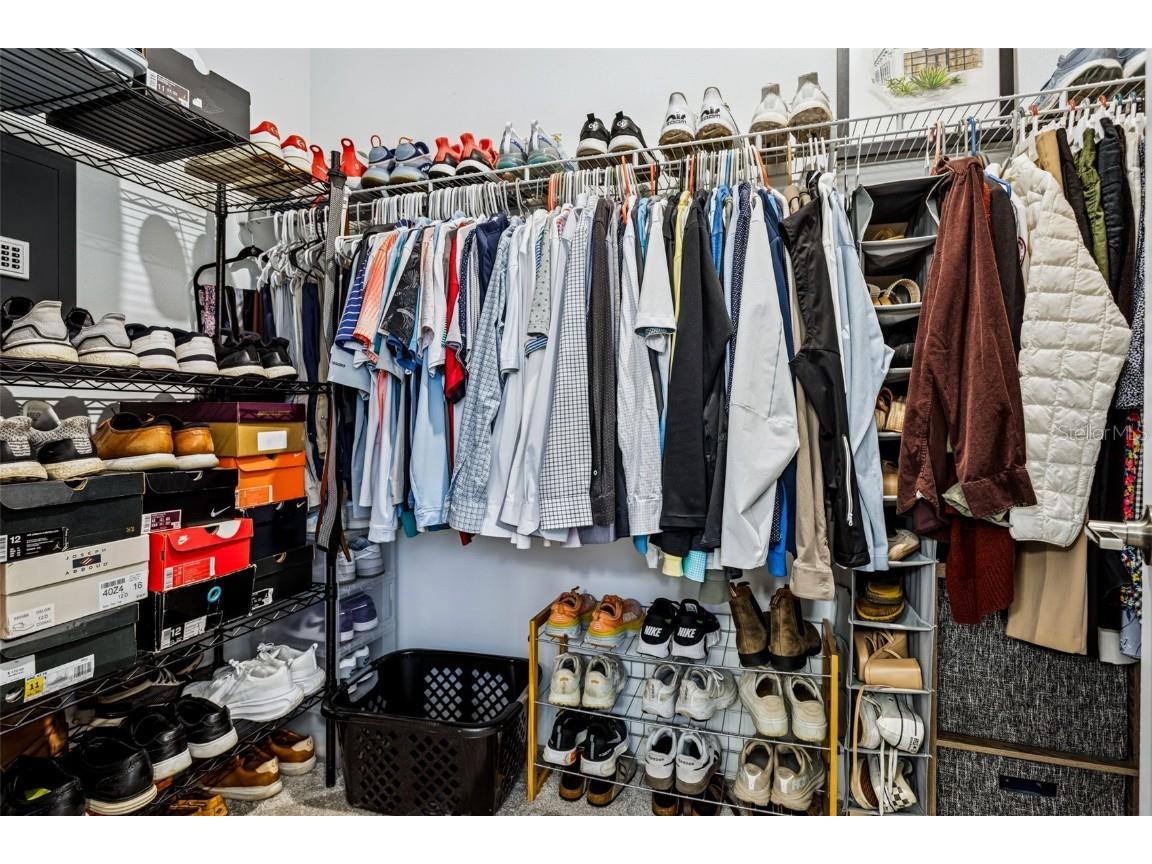 9783 Wild Begonia Loop Land O Lakes FL 34637 TB8459059 image22