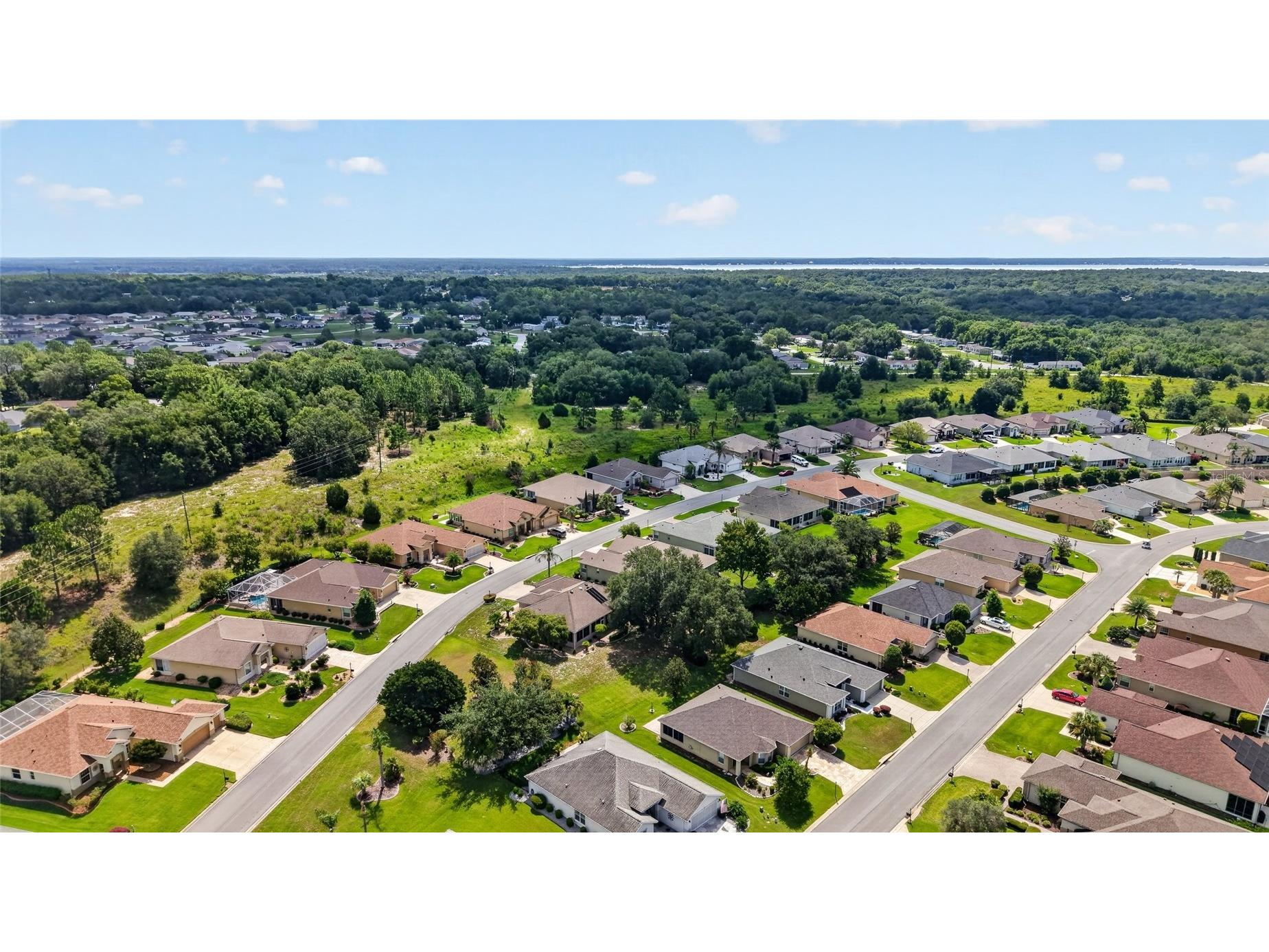 9785 SE 125th Lane Summerfield FL 34491 OM728014 image46