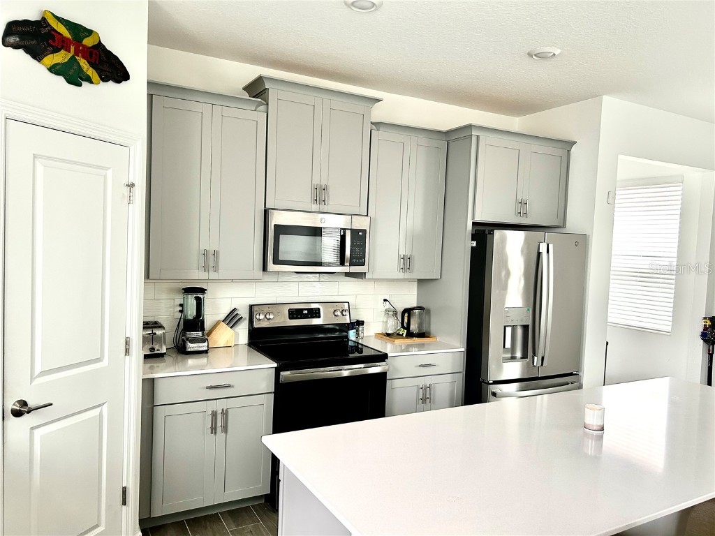 9787 Introduction Way Orlando FL 32832 O6288214 image7