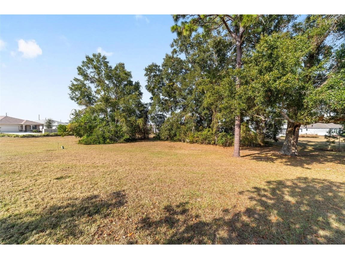 9788 SW 99th Avenue Ocala FL 34481 OM714174 image28