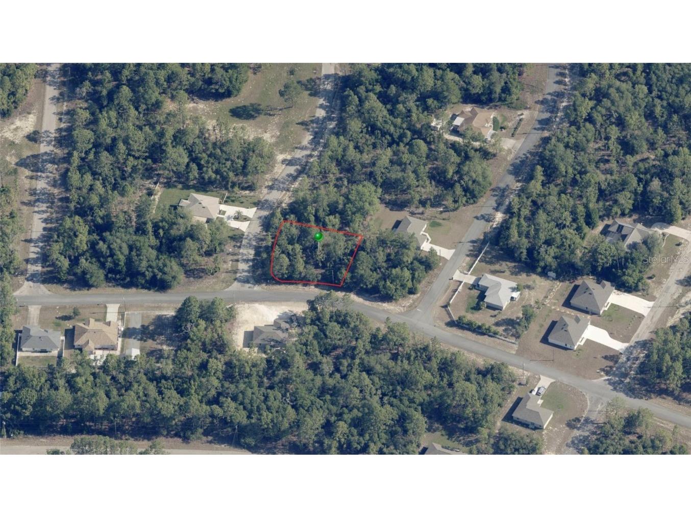 9789 N Angela Drive Citrus Springs FL 34434 OM699986 image1