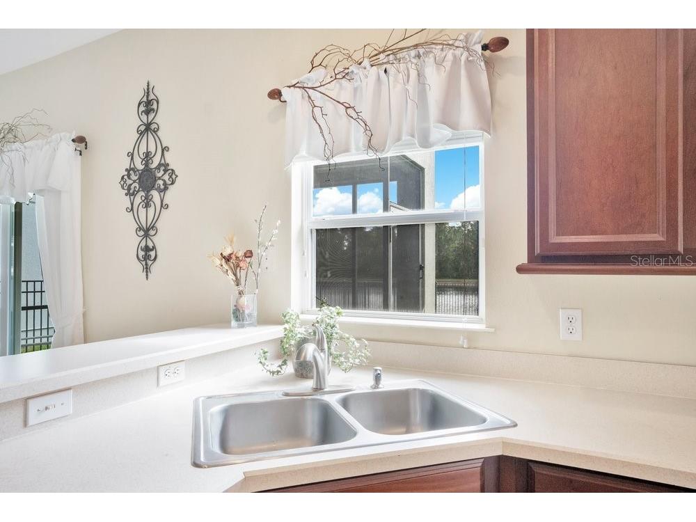 9789 Portofino Drive Orlando FL 32832 O6398769 image10