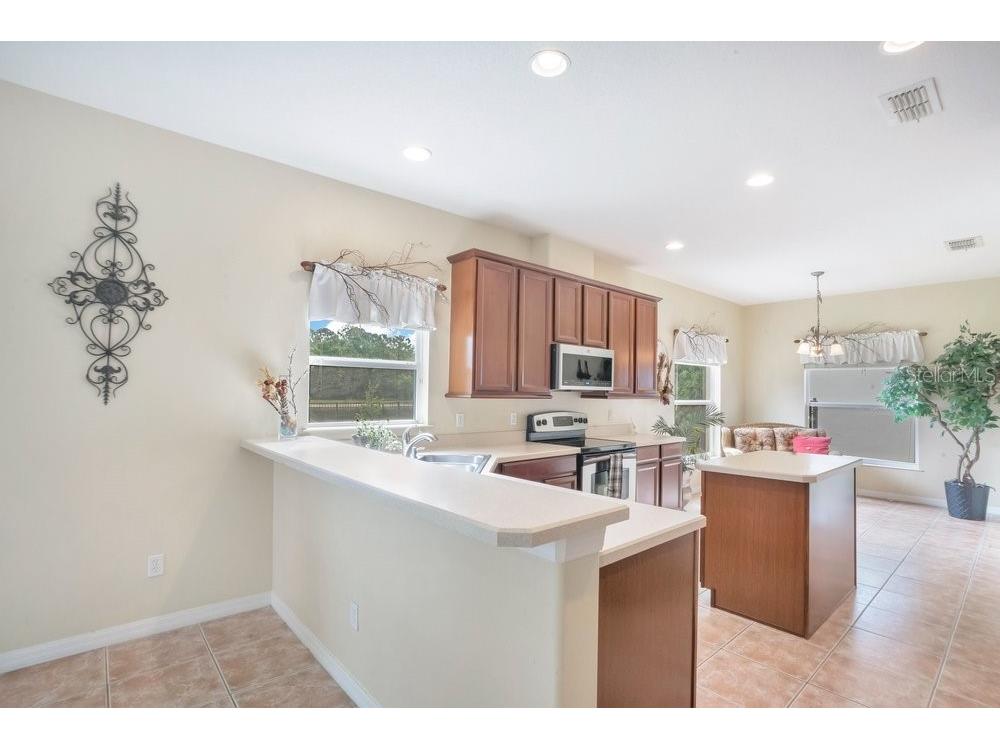 9789 Portofino Drive Orlando FL 32832 O6398769 image11