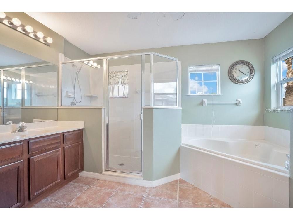 9789 Portofino Drive Orlando FL 32832 O6398769 image18