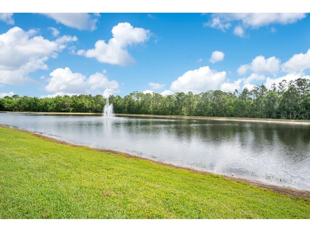 9789 Portofino Drive Orlando FL 32832 O6398769 image29