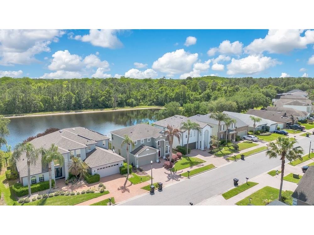 9789 Portofino Drive Orlando FL 32832 O6398769 image35