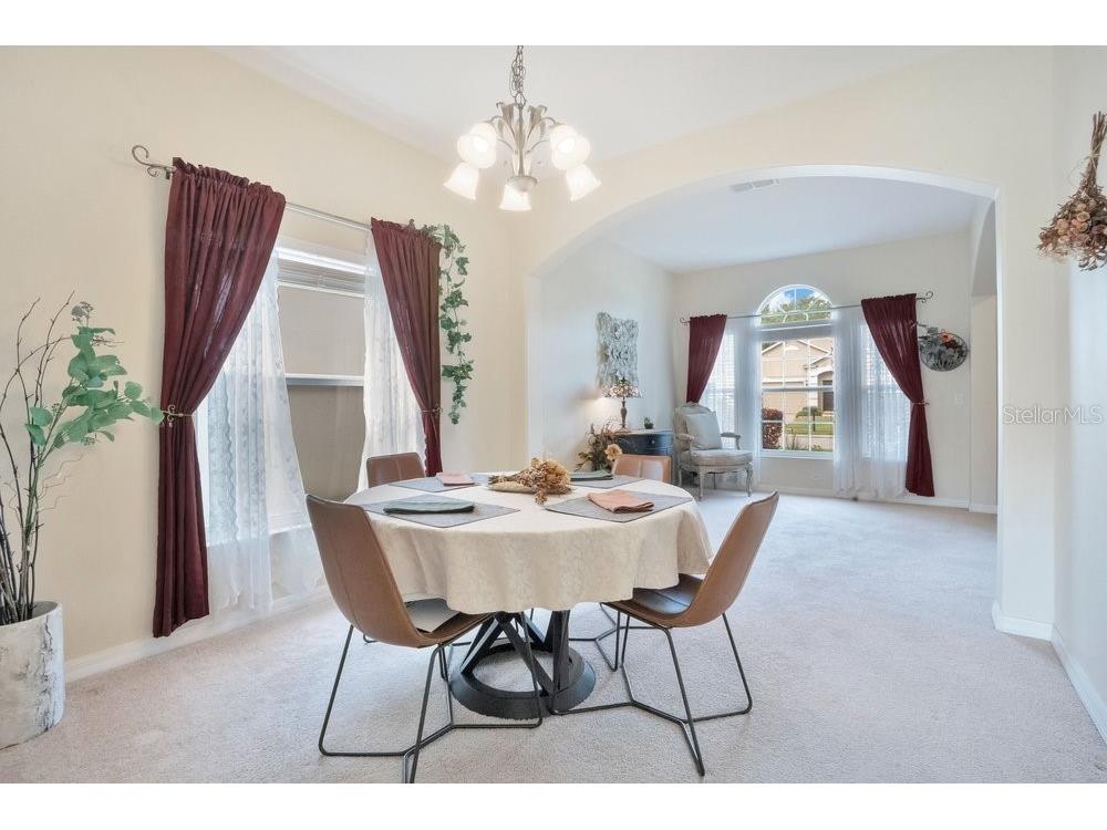 9789 Portofino Drive Orlando FL 32832 O6398769 image4