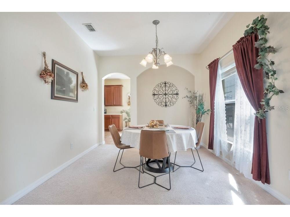 9789 Portofino Drive Orlando FL 32832 O6398769 image5