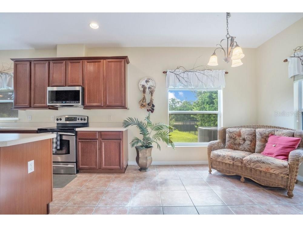 9789 Portofino Drive Orlando FL 32832 O6398769 image7