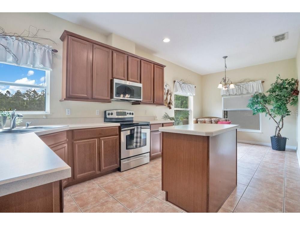 9789 Portofino Drive Orlando FL 32832 O6398769 image8