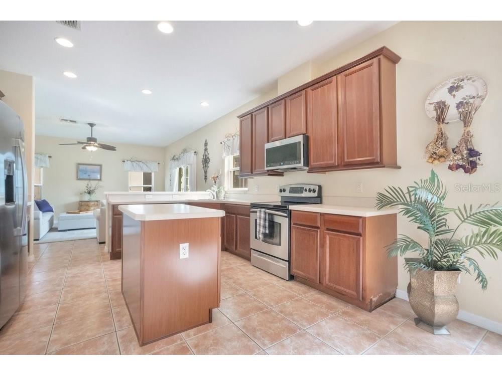 9789 Portofino Drive Orlando FL 32832 O6398769 image9