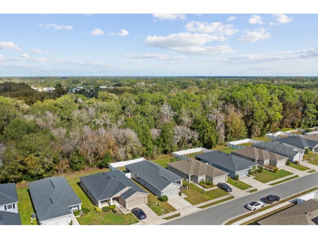 979 Pearly Ridge Lane Lakeland FL 33809 TB8477489 image27