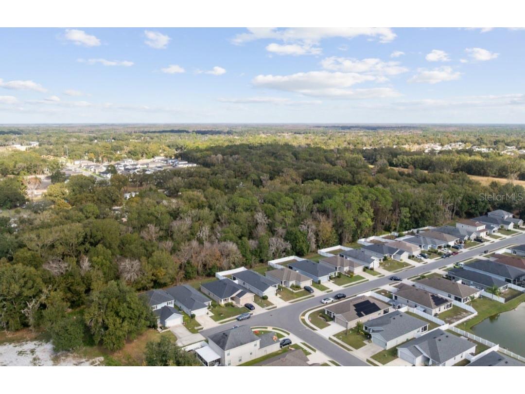 979 Pearly Ridge Lane Lakeland FL 33809 TB8477489 image29