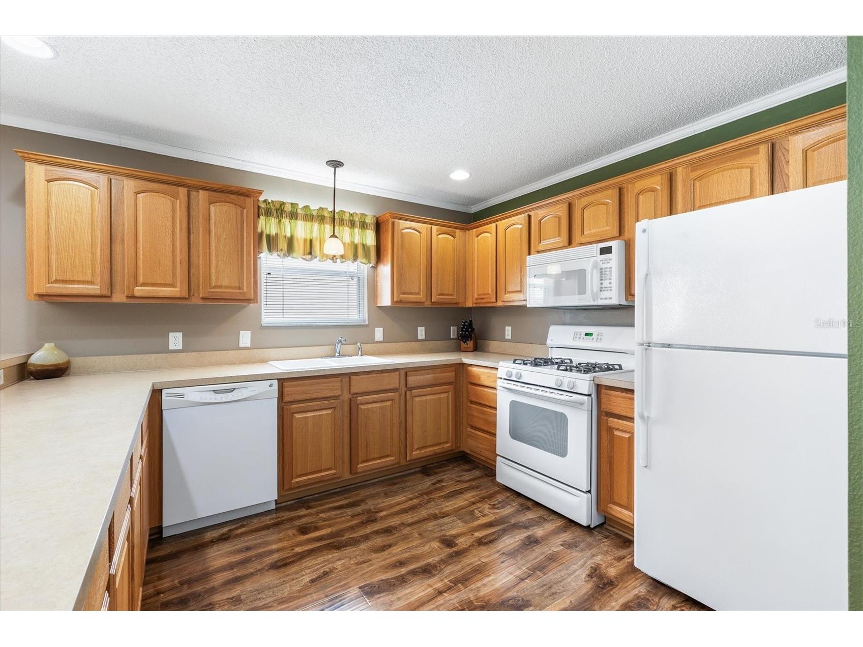 979 Smyrna Street The Villages FL 32162 G5111321 image3