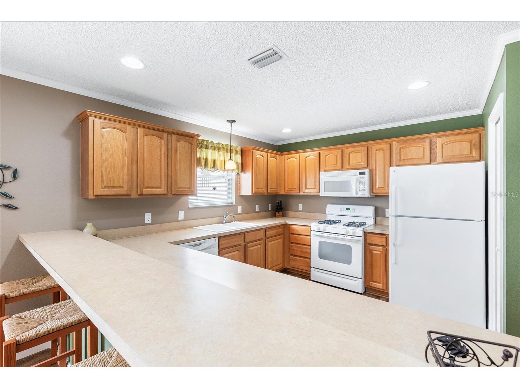 979 Smyrna Street The Villages FL 32162 G5111321 image5