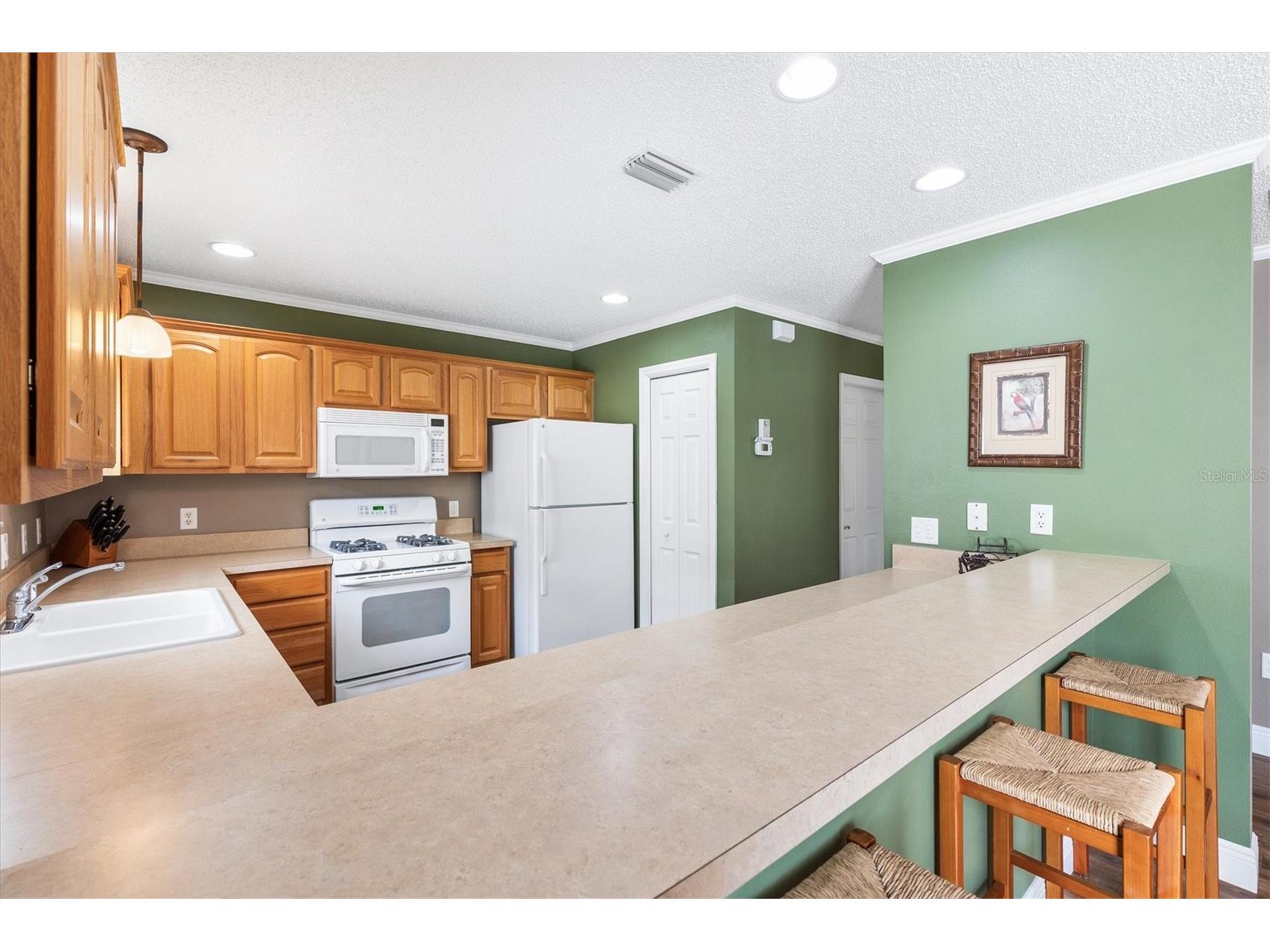 979 Smyrna Street The Villages FL 32162 G5111321 image6
