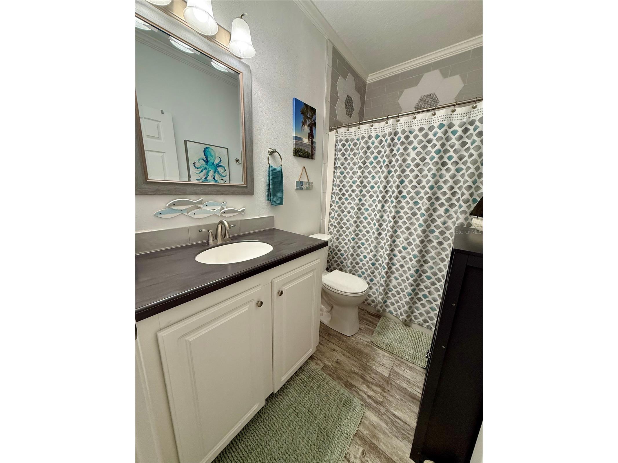 9790 66th Street N #112 Pinellas Park FL 33782 TB8470562 image24