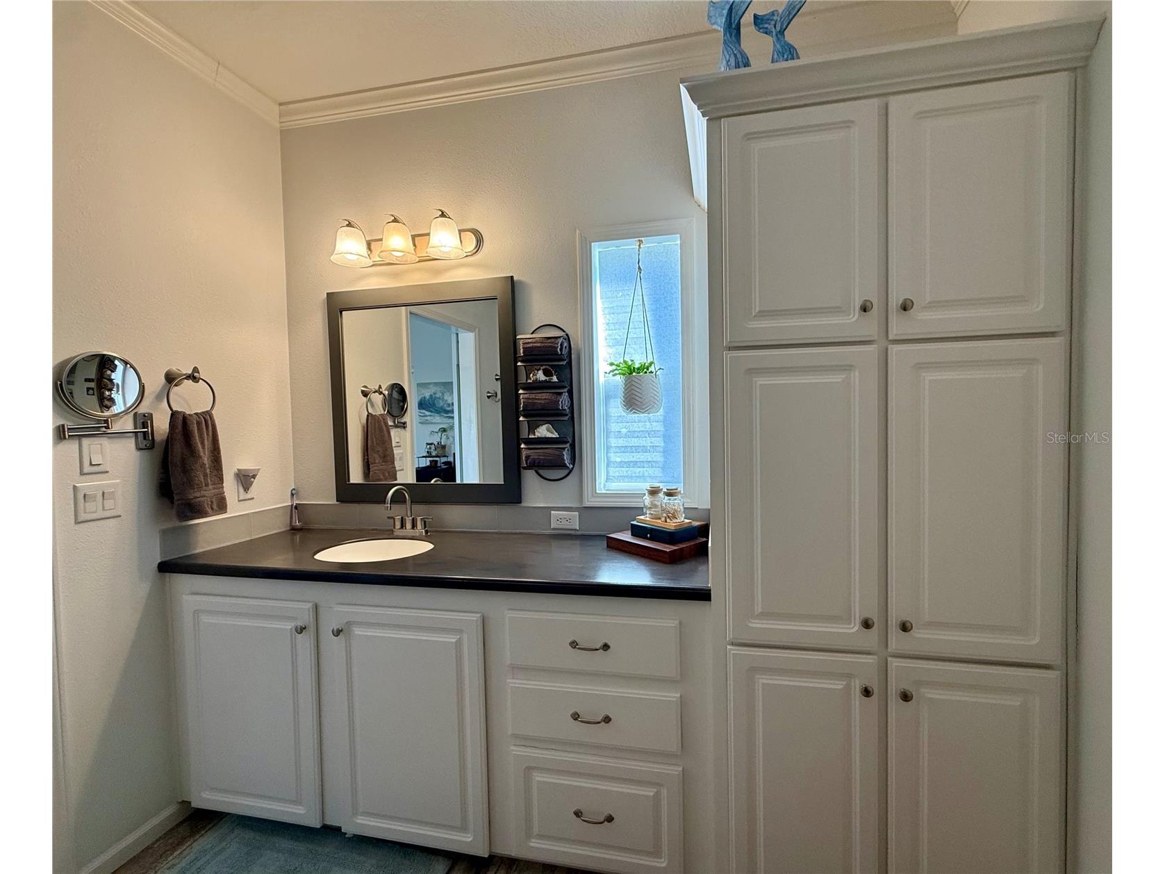 9790 66th Street N #112 Pinellas Park FL 33782 TB8470562 image32