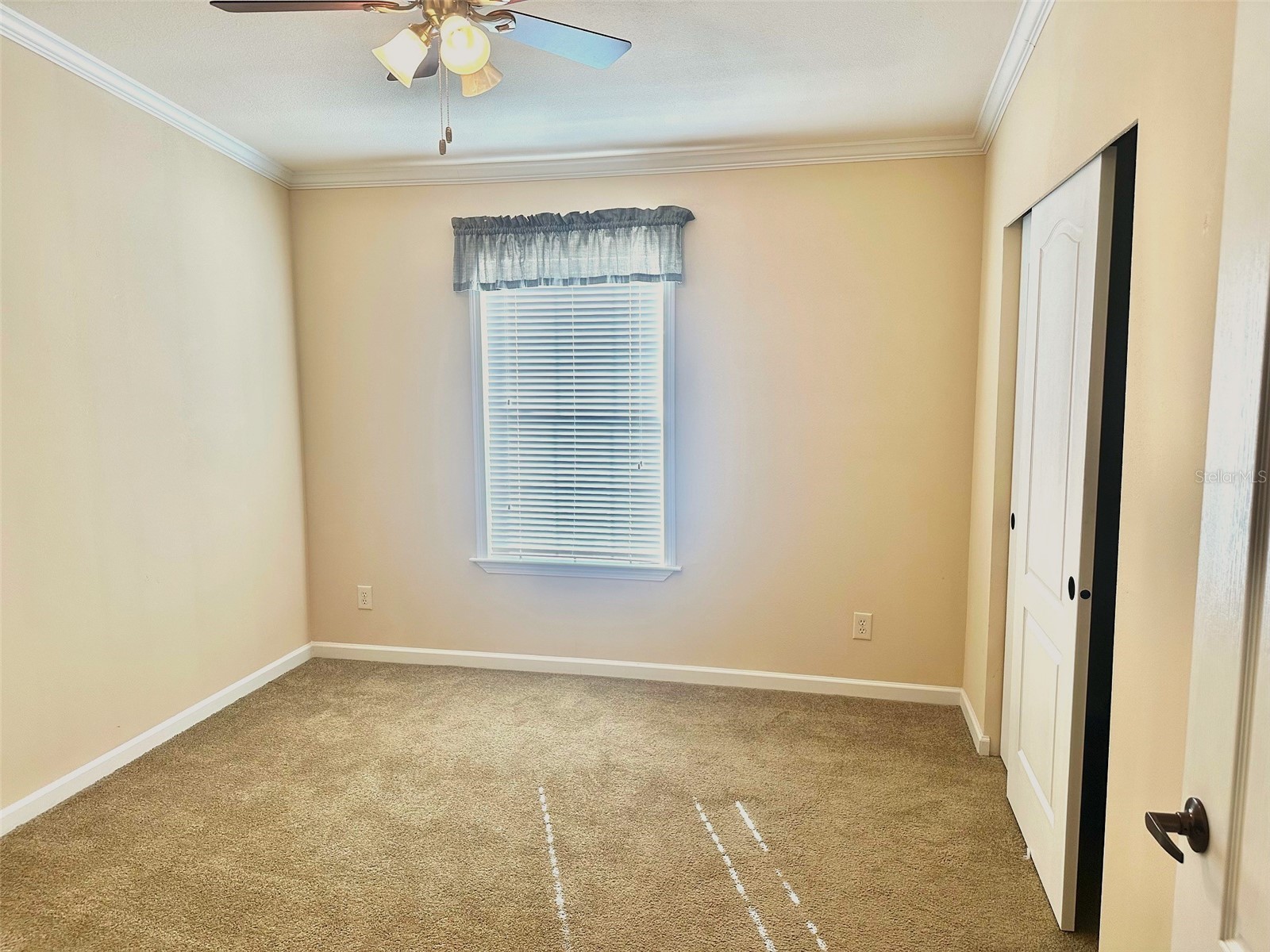 9790 66th Street N #128 Pinellas Park FL 33782 TB8465911 image11