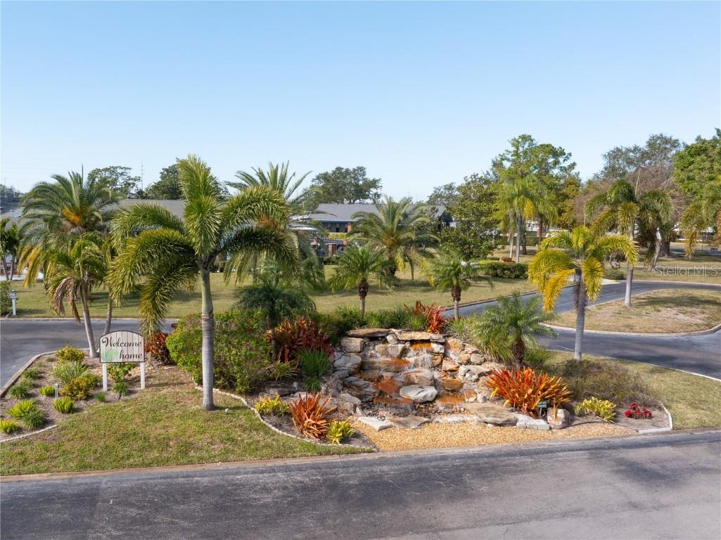 9790 66th Street N #130 Pinellas Park FL 33782 TB8343157 image25