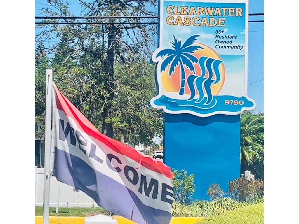 9790 66th Street N #238 Pinellas Park FL 33782 O6297504 image28