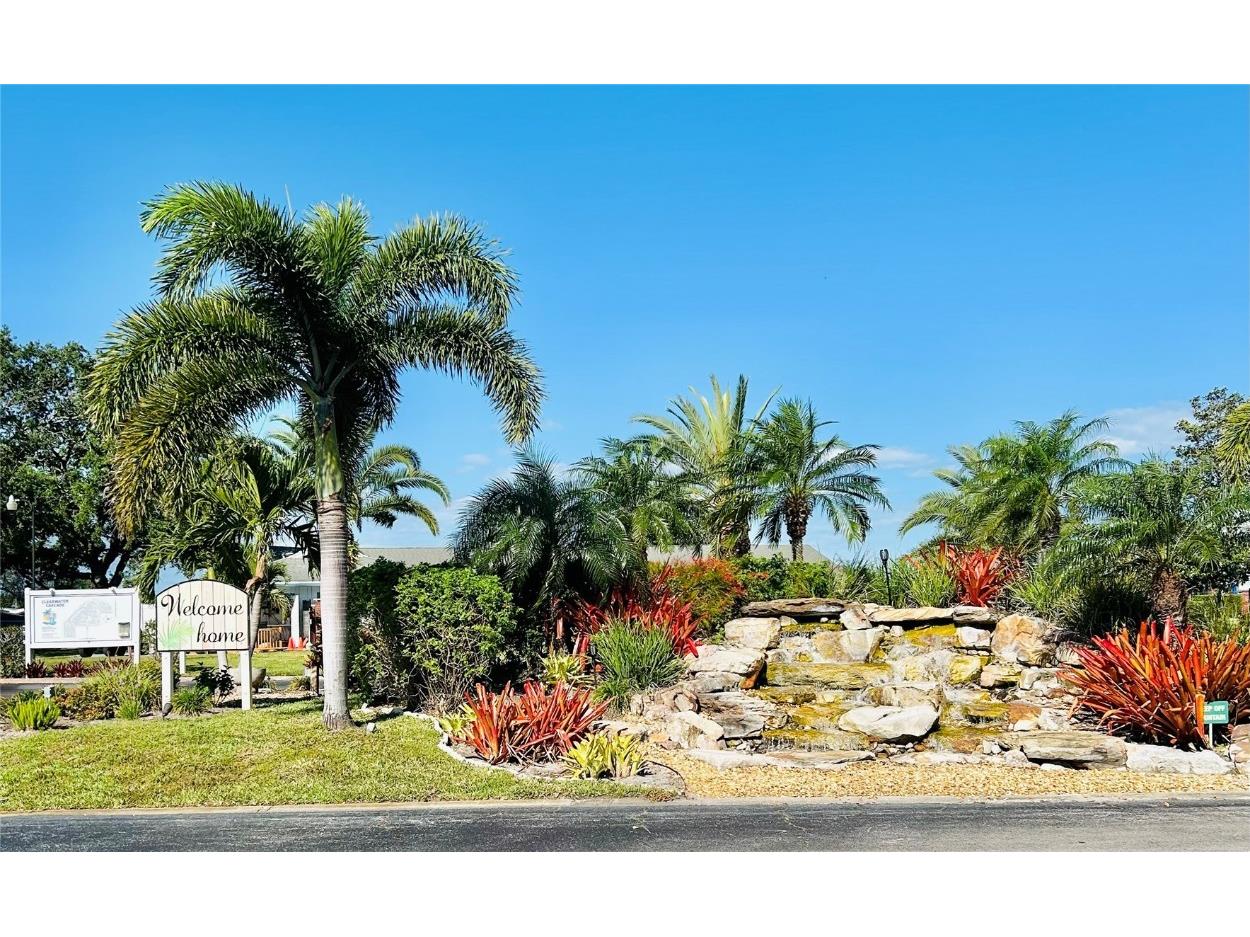 9790 66th Street N #238 Pinellas Park FL 33782 O6297504 image29