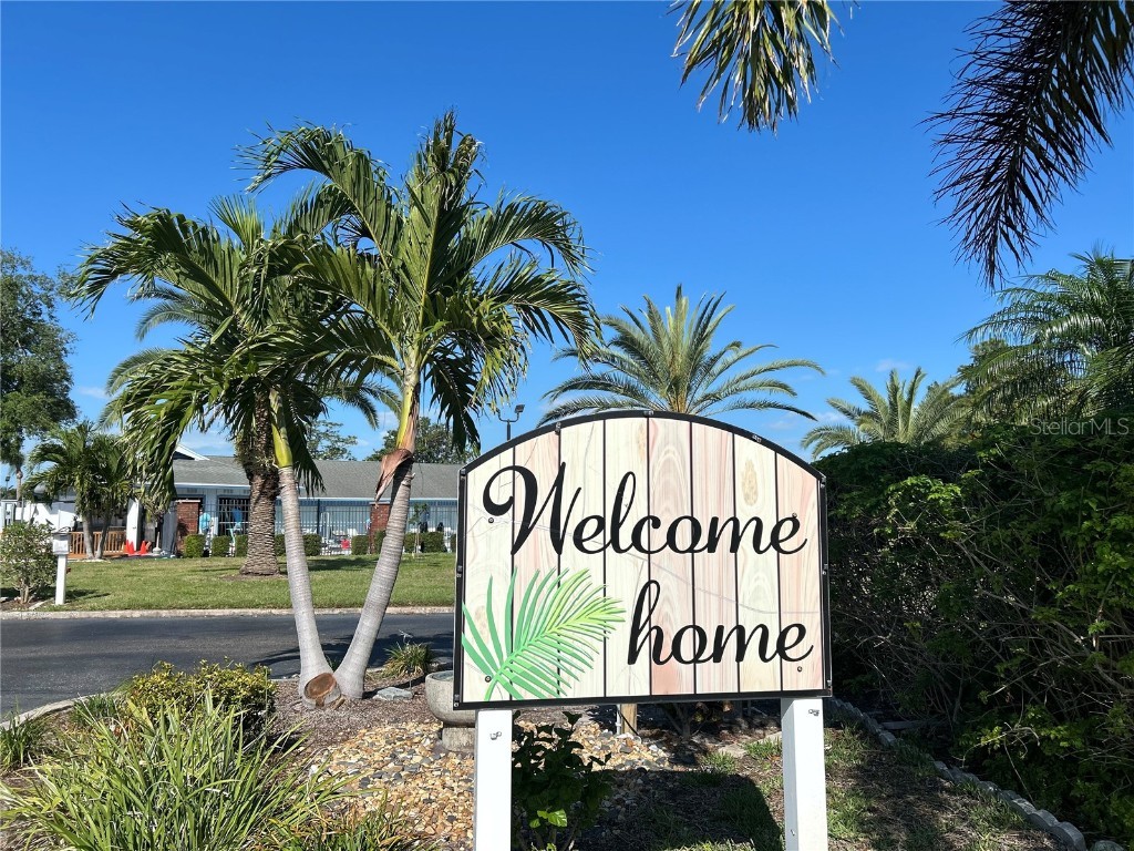 9790 66th Street N #238 Pinellas Park FL 33782 O6297504 image30