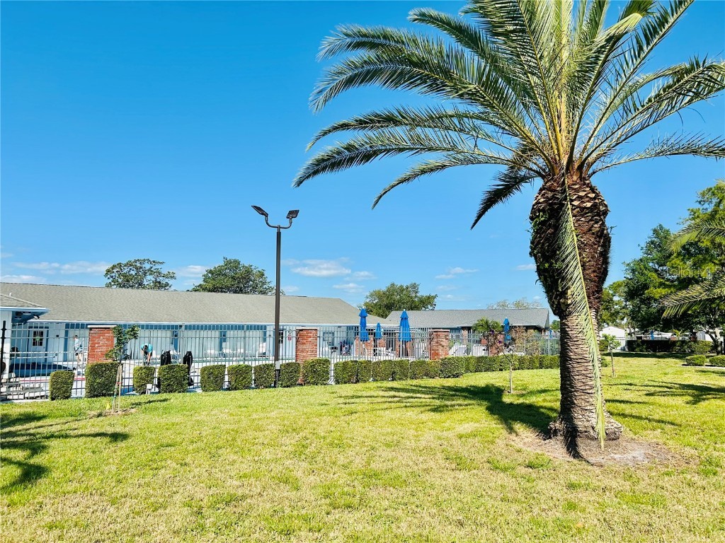 9790 66th Street N #238 Pinellas Park FL 33782 O6297504 image37