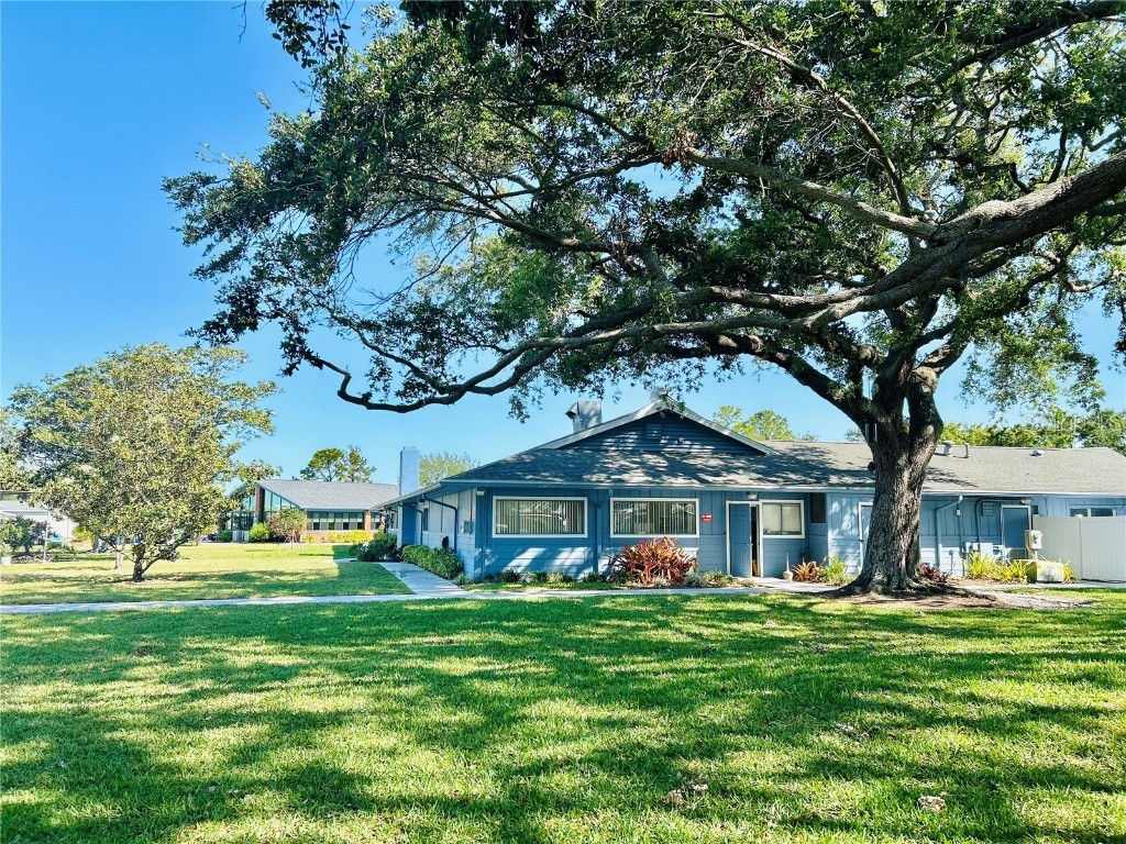 9790 66th Street N #238 Pinellas Park FL 33782 O6297504 image38