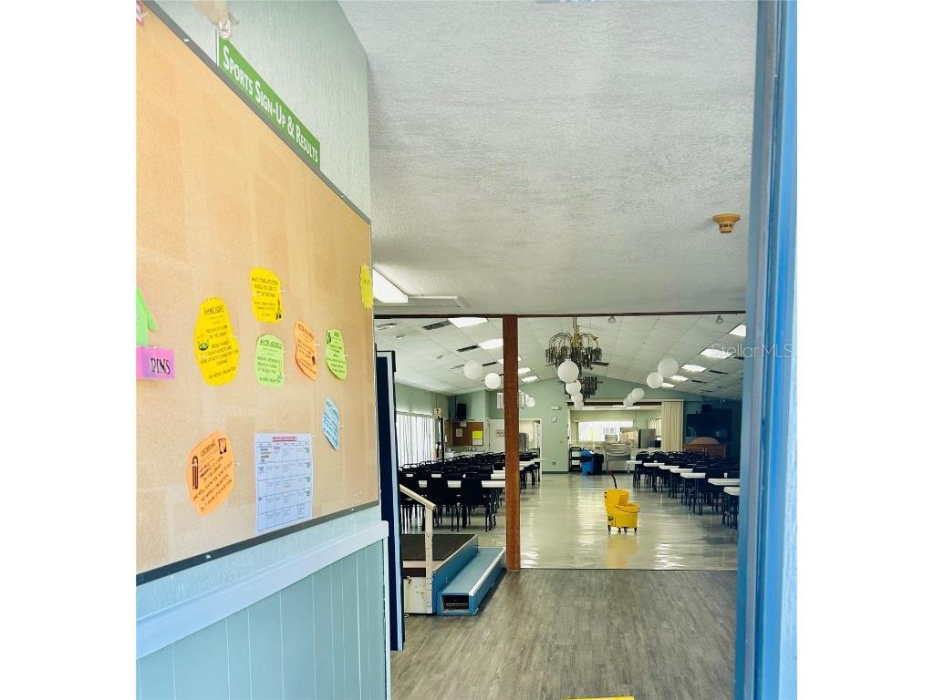 9790 66th Street N #238 Pinellas Park FL 33782 O6297504 image44