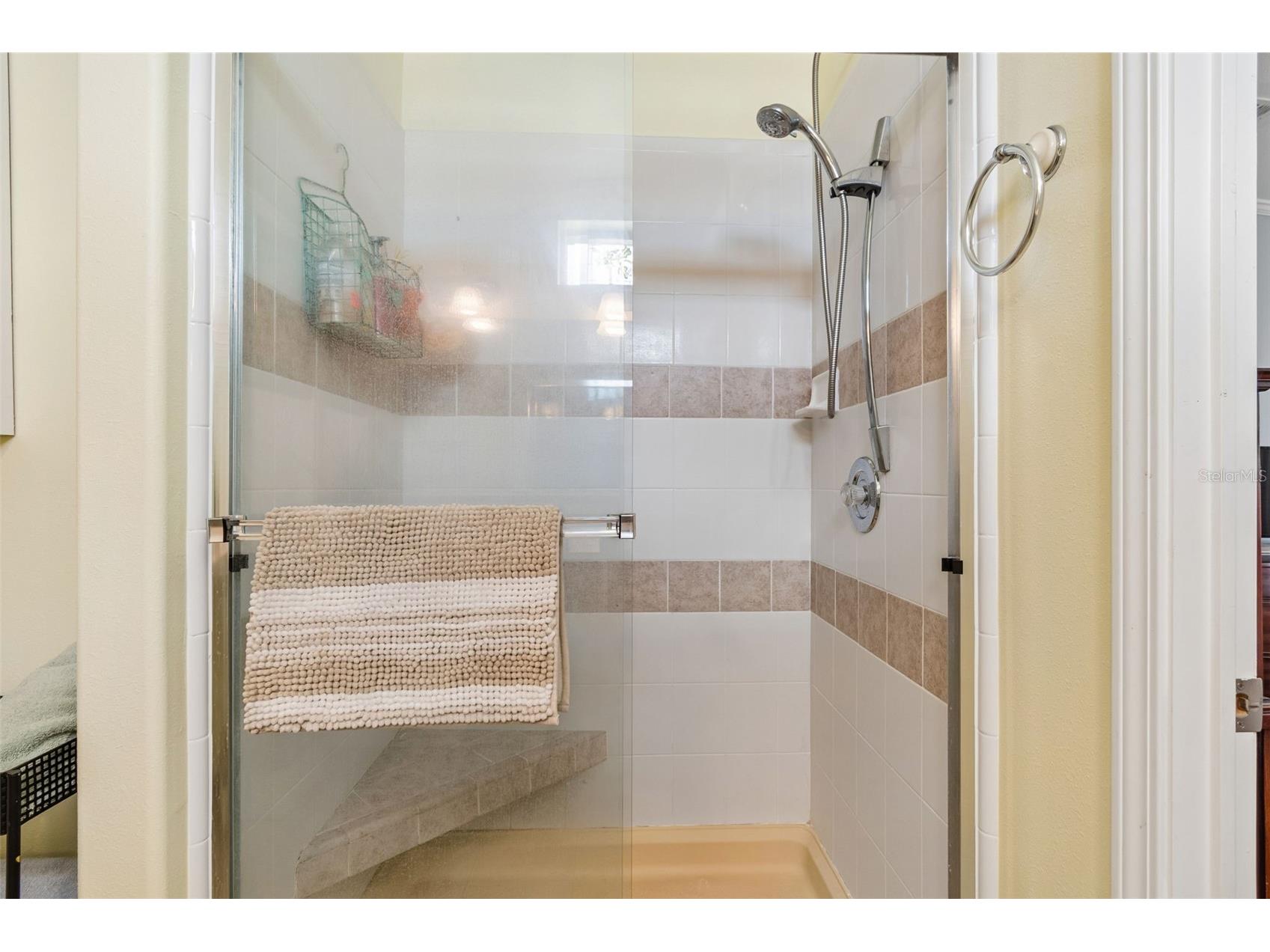 9790 66th Street N #252 Pinellas Park FL 33782 TB8525235 image38
