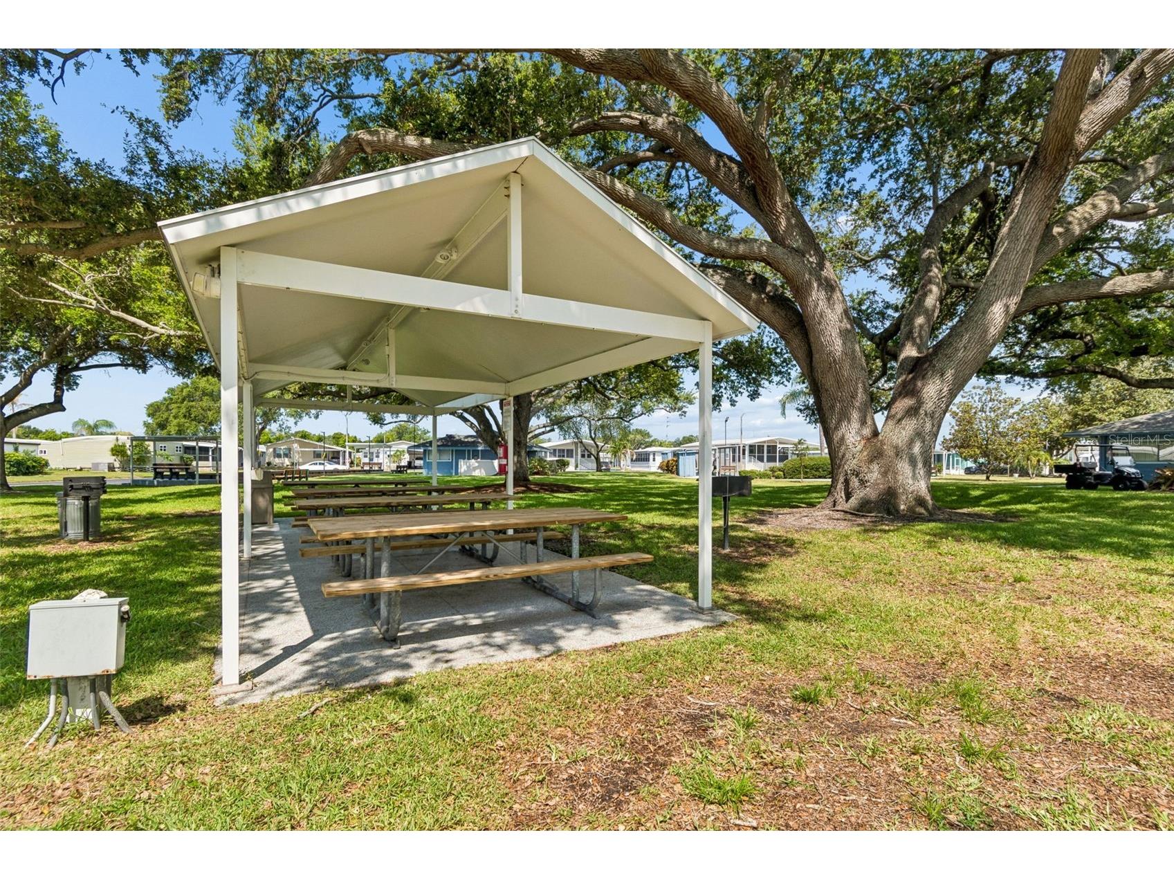 9790 66th Street N #252 Pinellas Park FL 33782 TB8525235 image71