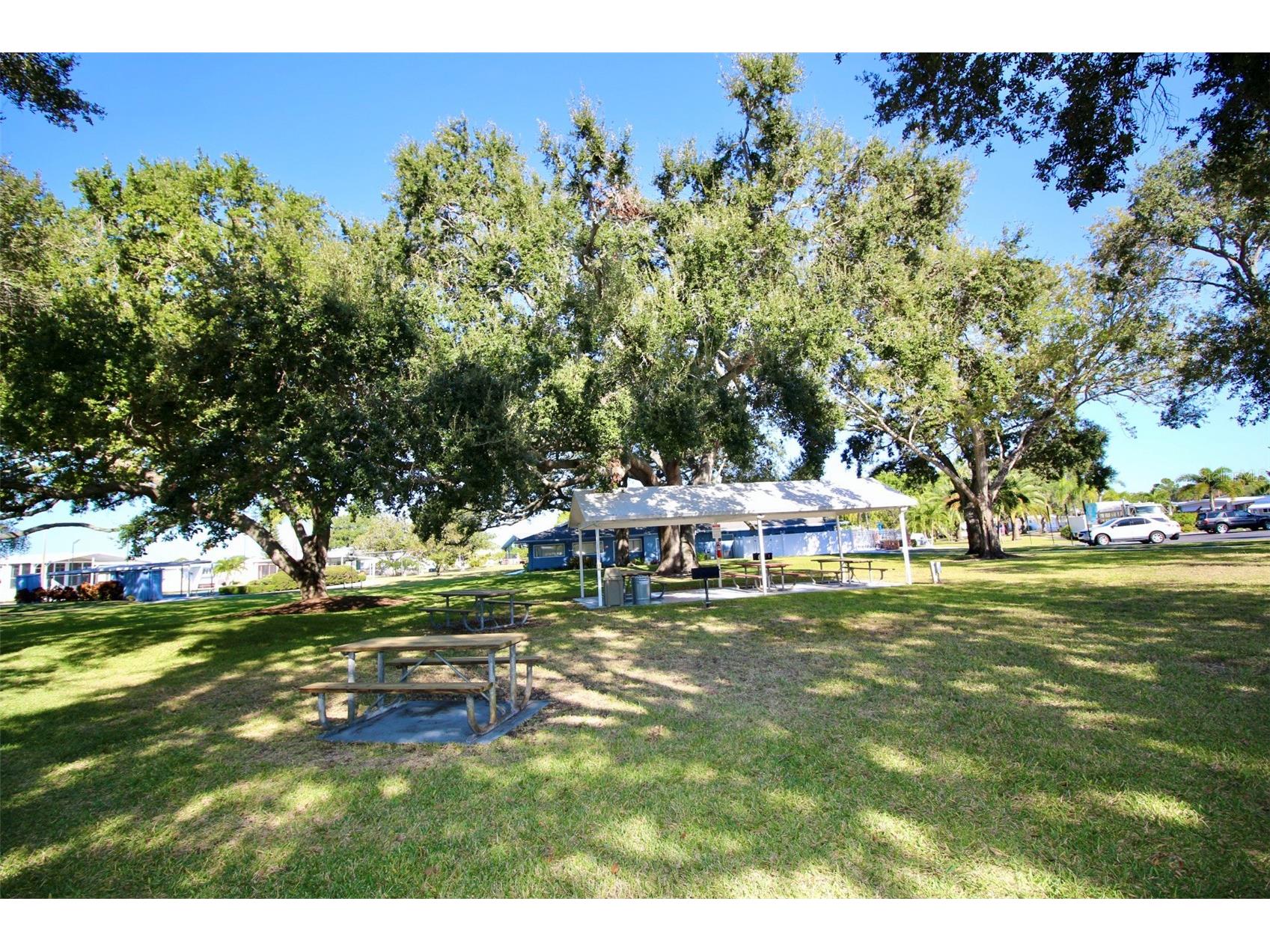 9790 66th Street N #397 Pinellas Park FL 33782 TB8445186 image33