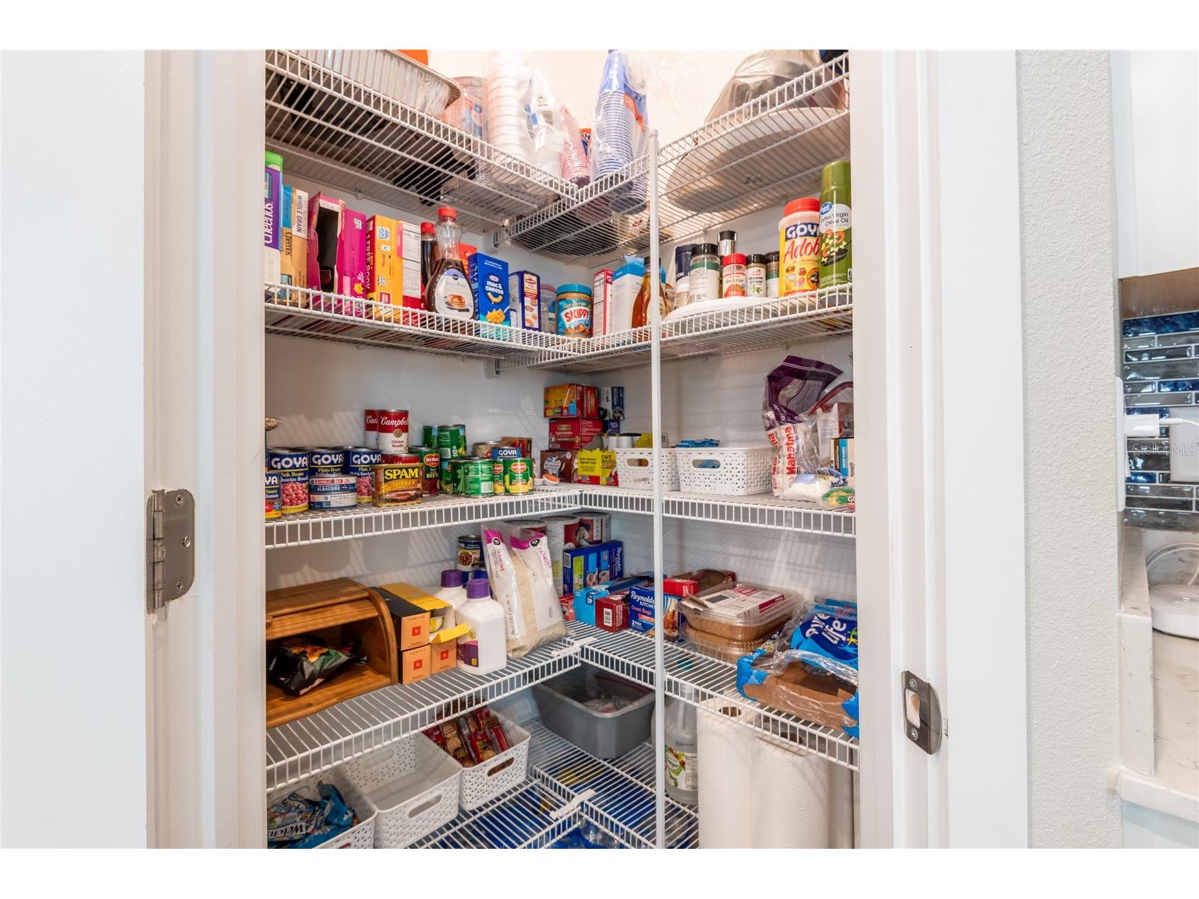 9790 Coneflower Court Land O Lakes FL 34637 TB8409421 image9