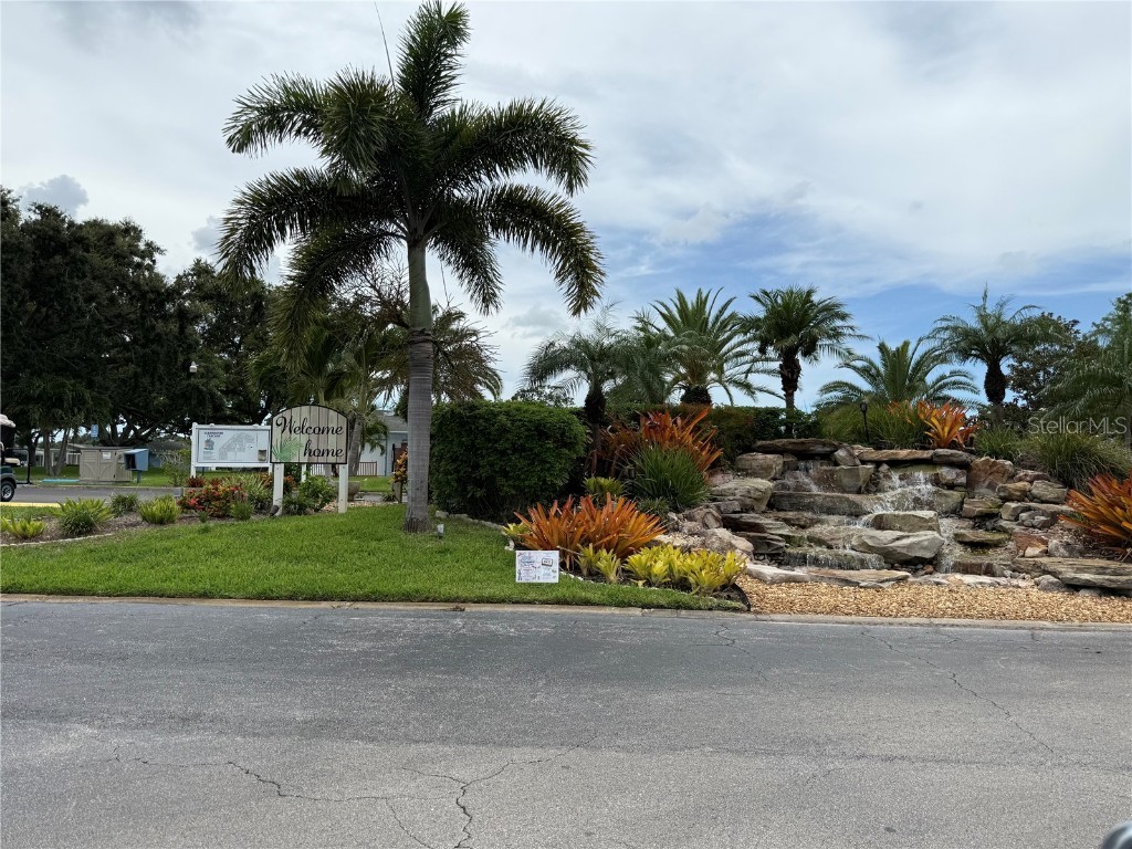 9790 N 66th #401 Pinellas Park FL 33782 TB8408384 image6