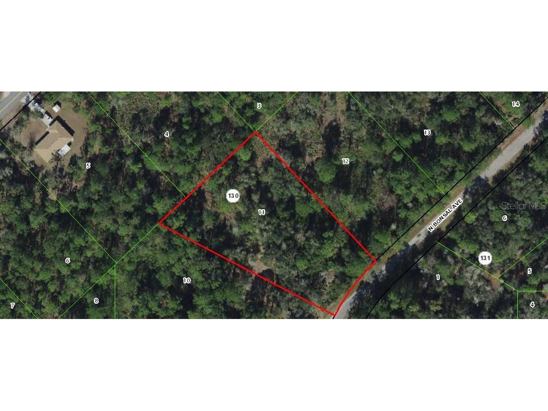 9790 N Bonsai Avenue Crystal River FL 34428 A4588134 image1