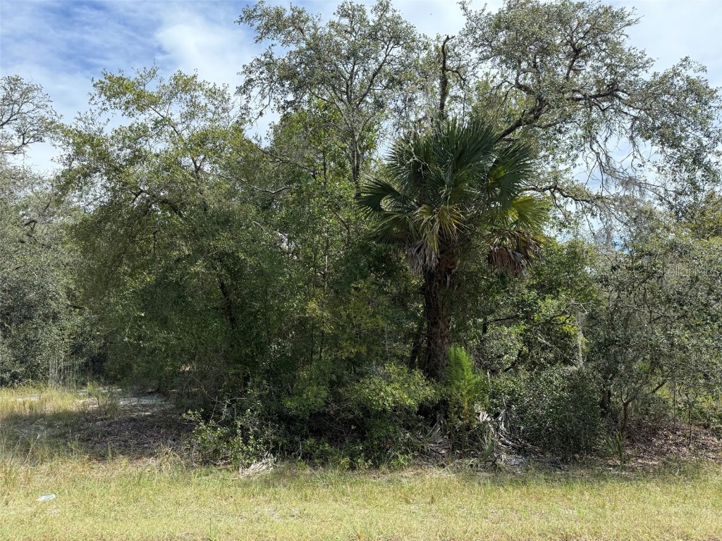 9793 N Alder Avenue Crystal River FL 34428 OK225556 image1