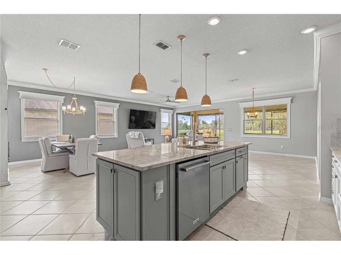 9793 SW 63rd Loop Ocala FL 34481 OM683308 image8