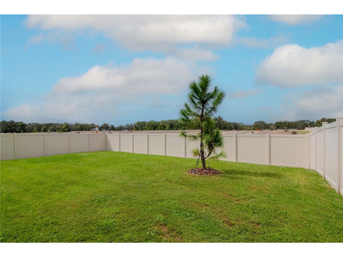 9795 Crescent Ray Drive Wesley Chapel FL 33545 TB8391245 image13