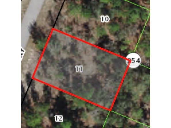 9795 N Dana Way Citrus Springs FL 34433 A4578293 image1