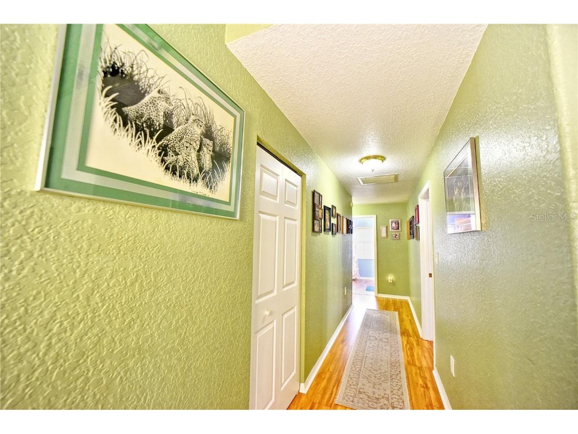 9795 NE 303rd Avenue Salt Springs FL 32134 OM696399 image10