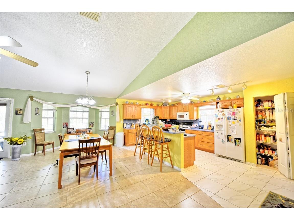 9795 NE 303rd Avenue Salt Springs FL 32134 OM696399 image5