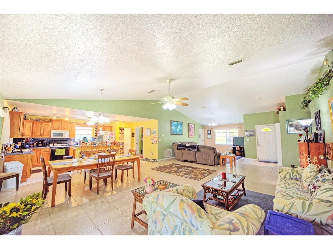 9795 NE 303rd Avenue Salt Springs FL 32134 OM696399 image6