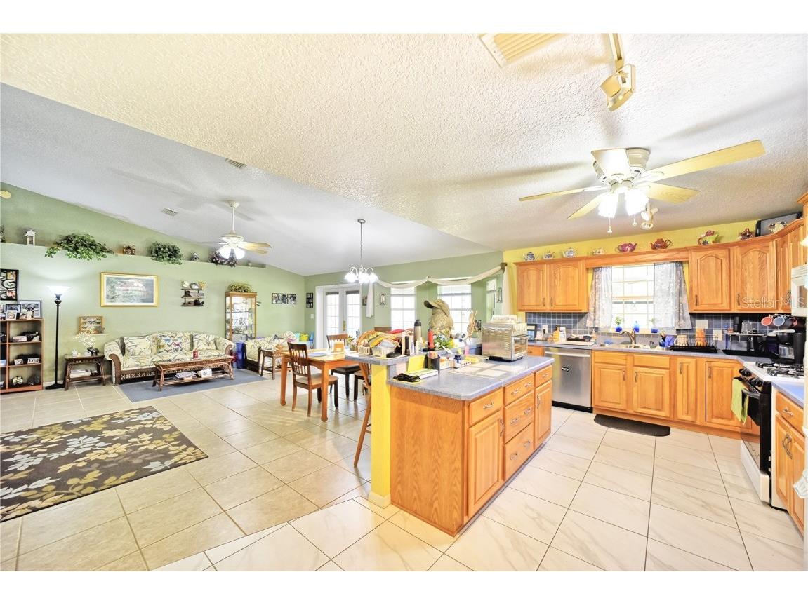 9795 NE 303rd Avenue Salt Springs FL 32134 OM696399 image7