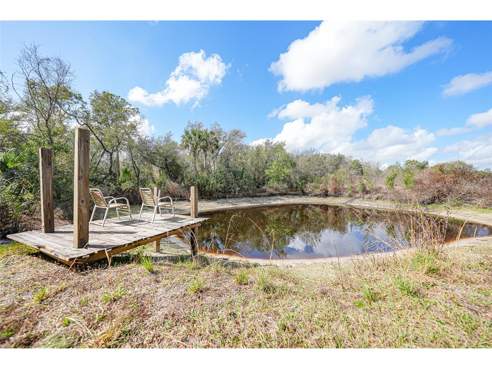 9796 SW Southern Dreams Road Arcadia FL 34269 C7522945 image51