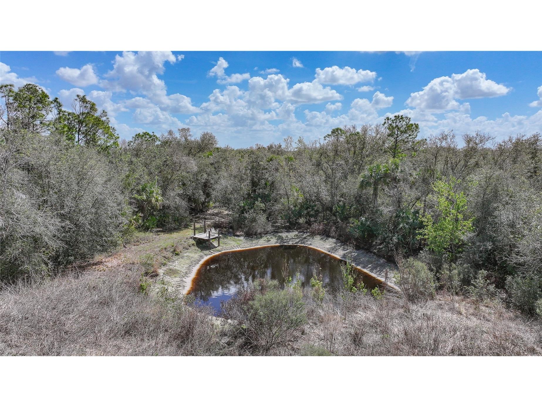 9796 SW Southern Dreams Road Arcadia FL 34269 C7522945 image61