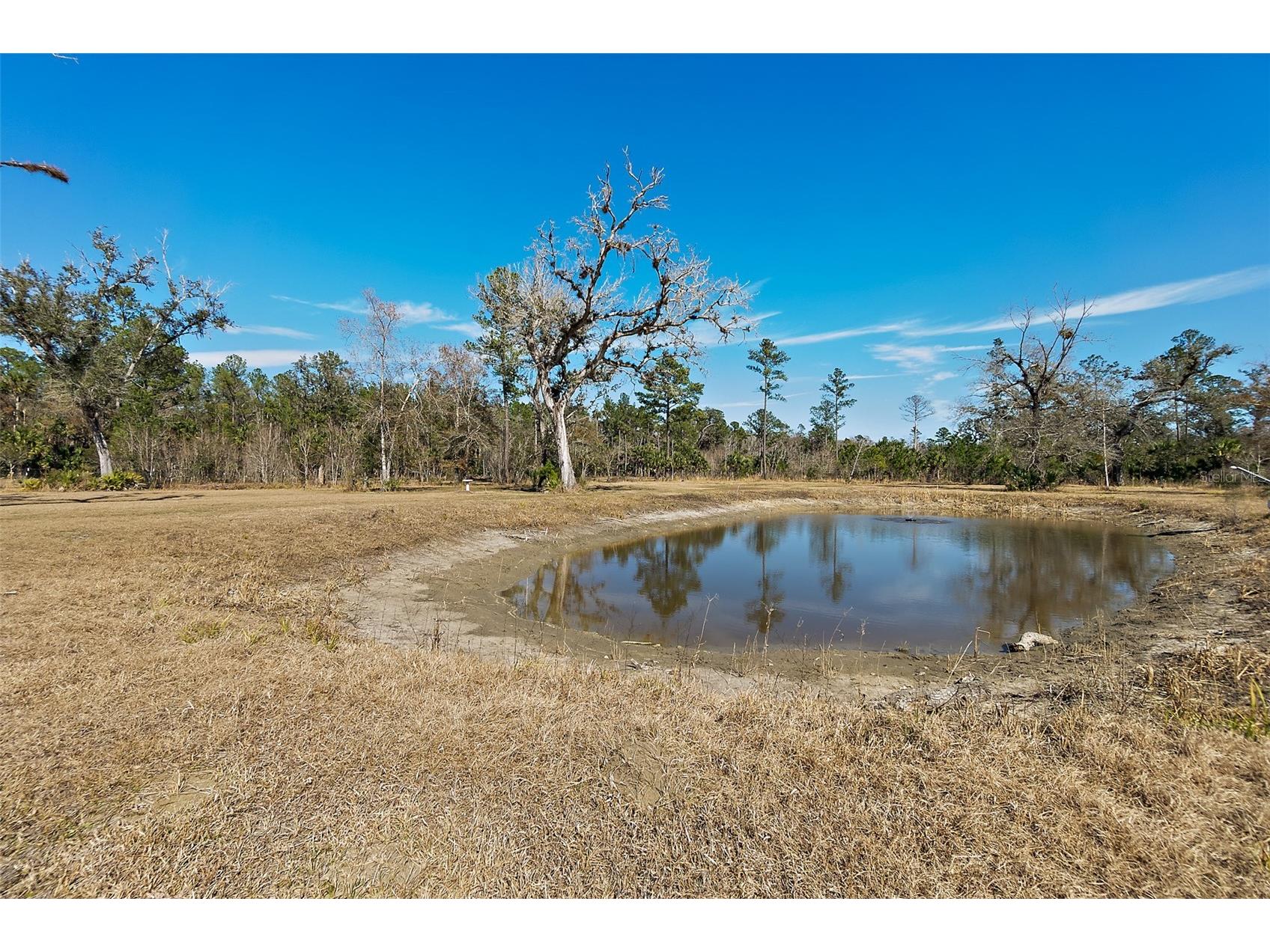 9797 County Road 305 Bunnell FL 32110 FC316065 image66
