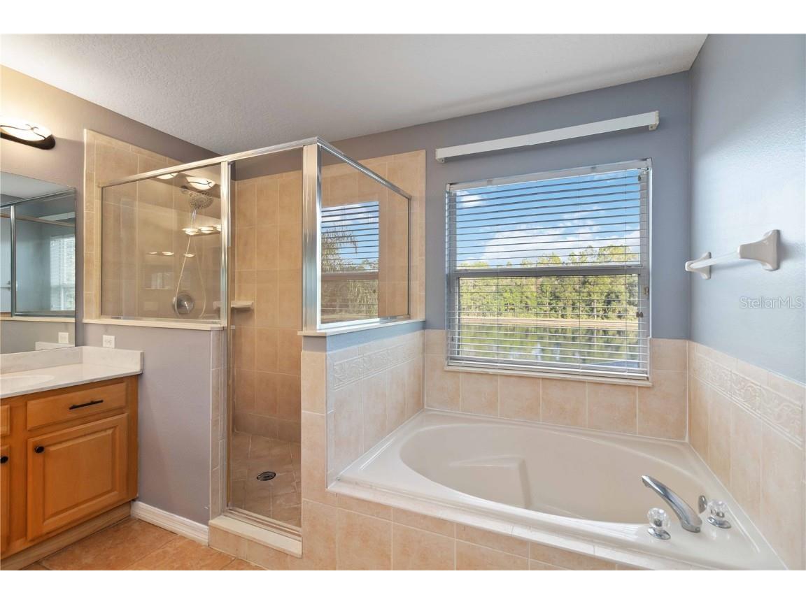 9797 Portofino Drive Orlando FL 32832 O6359095 image33